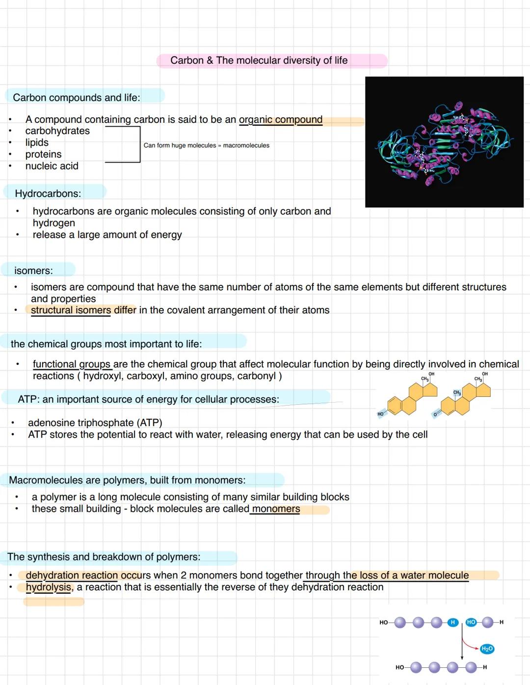 The chemical context of life
A chemical connection To biology:
Biology is science A multidisciplinary science
Living organisms are subject t