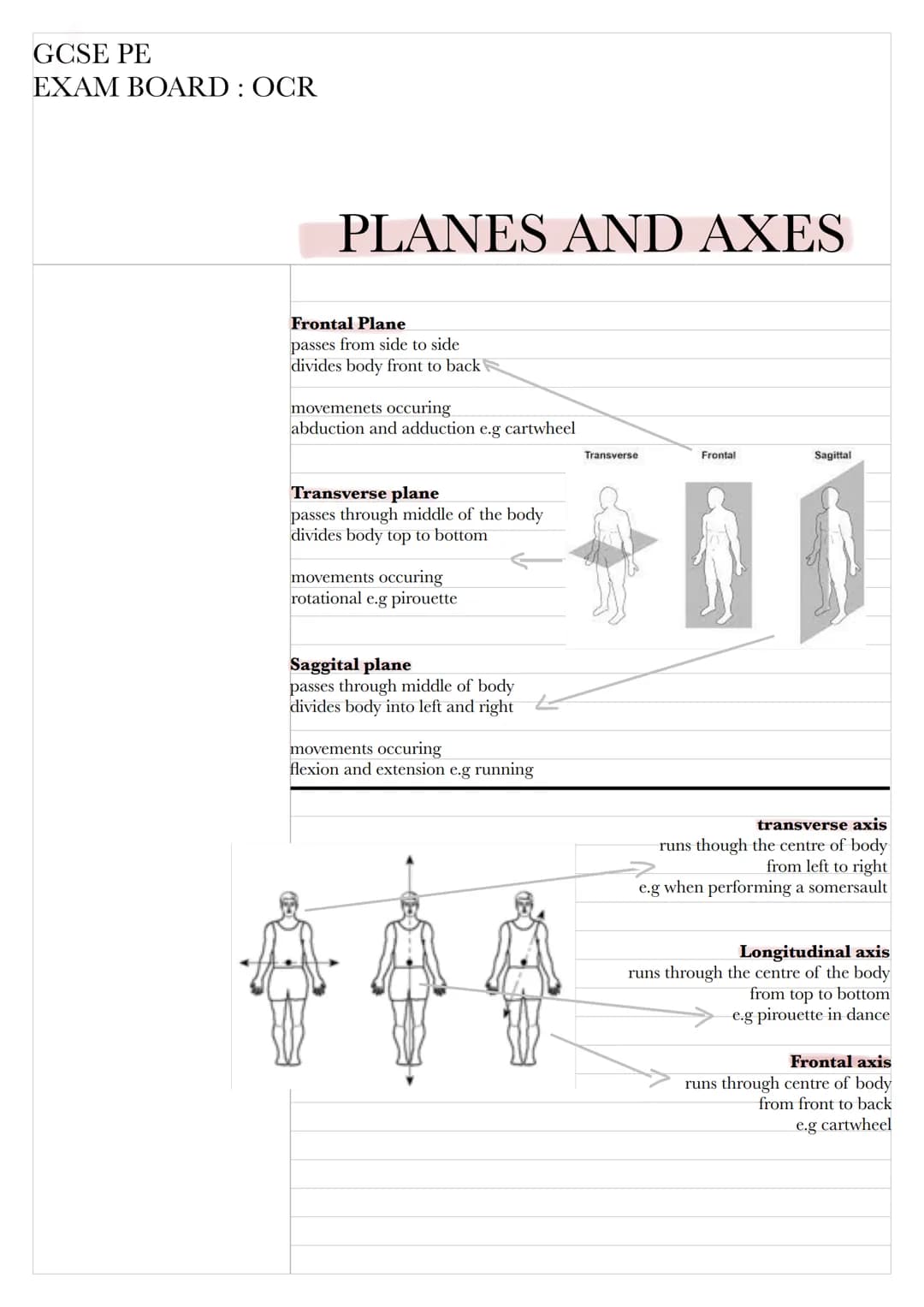GCSE PE
EXAM BOARD: OCR
PLANES AND AXES
Frontal Plane
passes from side to side
divides body front to back
movemenets occuring
abduction and 