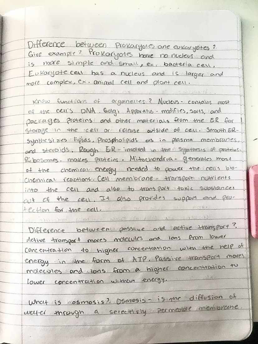 Chapter 1-10 Notes
Biology Midterm Study Guide
куага
gathering and
What is science? An organized way
analyzing evidence about the
What is a 