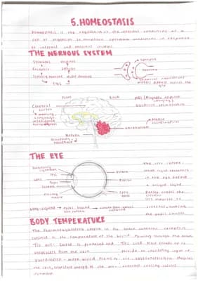 Know Biology Paper 2: All topics thumbnail