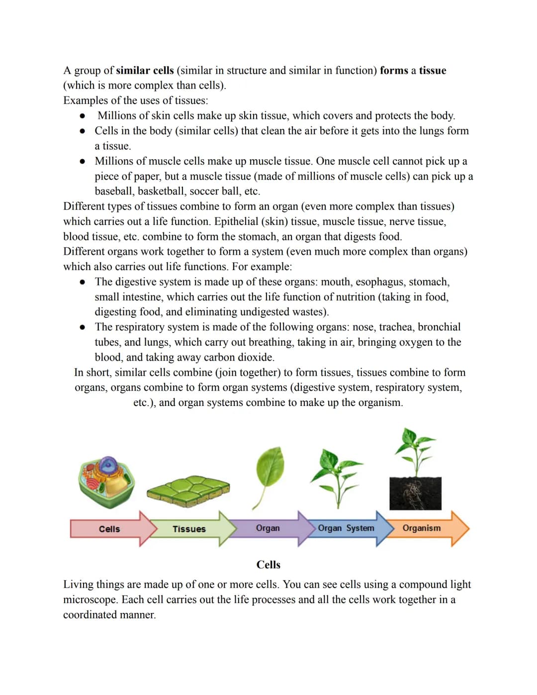 SIMILARITIES AND DIFFERENCES AMONG LIVING THINGS
All living things are similar:
1. All living things are made of one or more cells, the basi