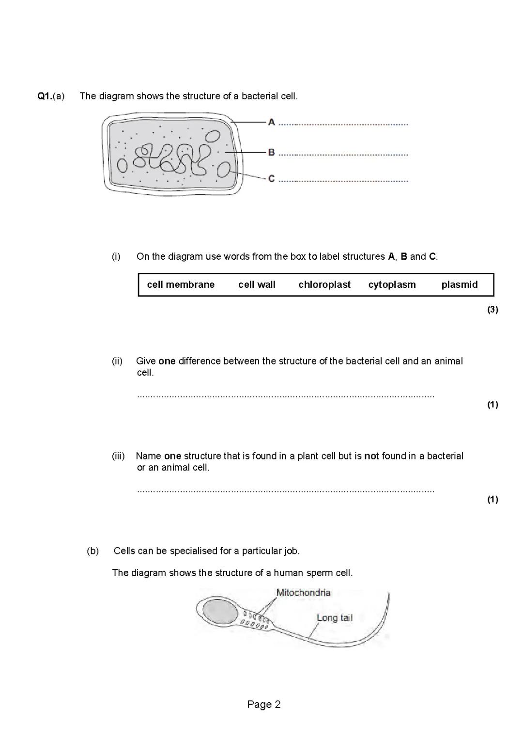 Cell structure 