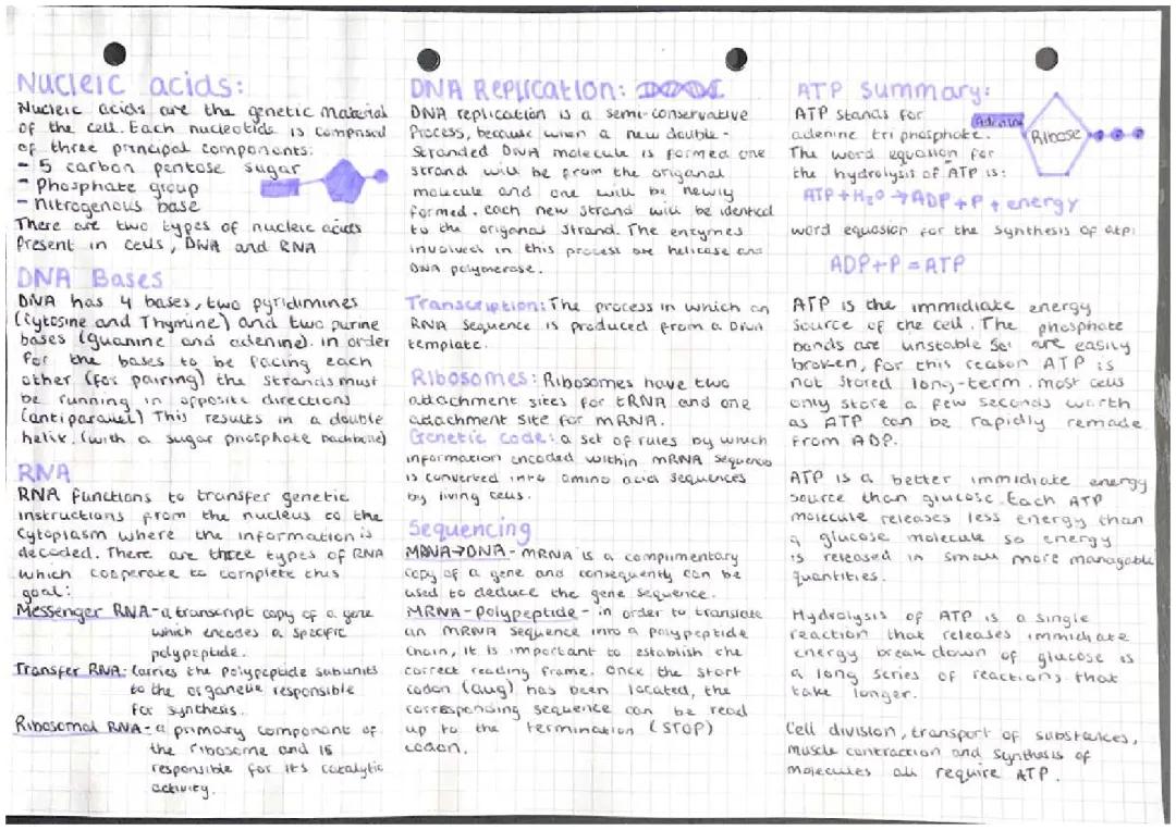 Nucleic acids/ medical science 