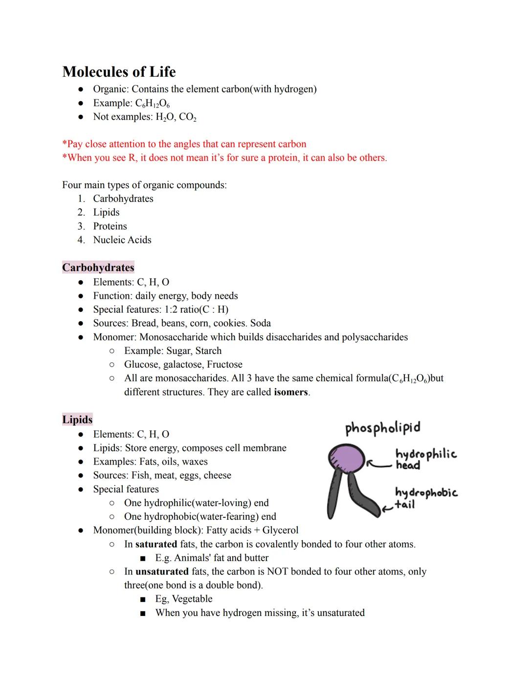 # Molecules of Life

*   Organic: Contains the element carbon(with hydrogen)
*   Example: C6H12O6
*   Not examples: H₂O, CO₂

*Pay close att
