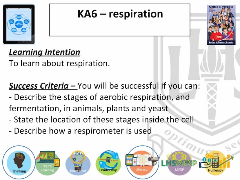 N5 Unit 1 KA6
Respiration N5 biology course
1. Cell Biology
2. Multicellular Organisms
3. Life on Earth Unit 1 Cell Biology
1. Cell structur
