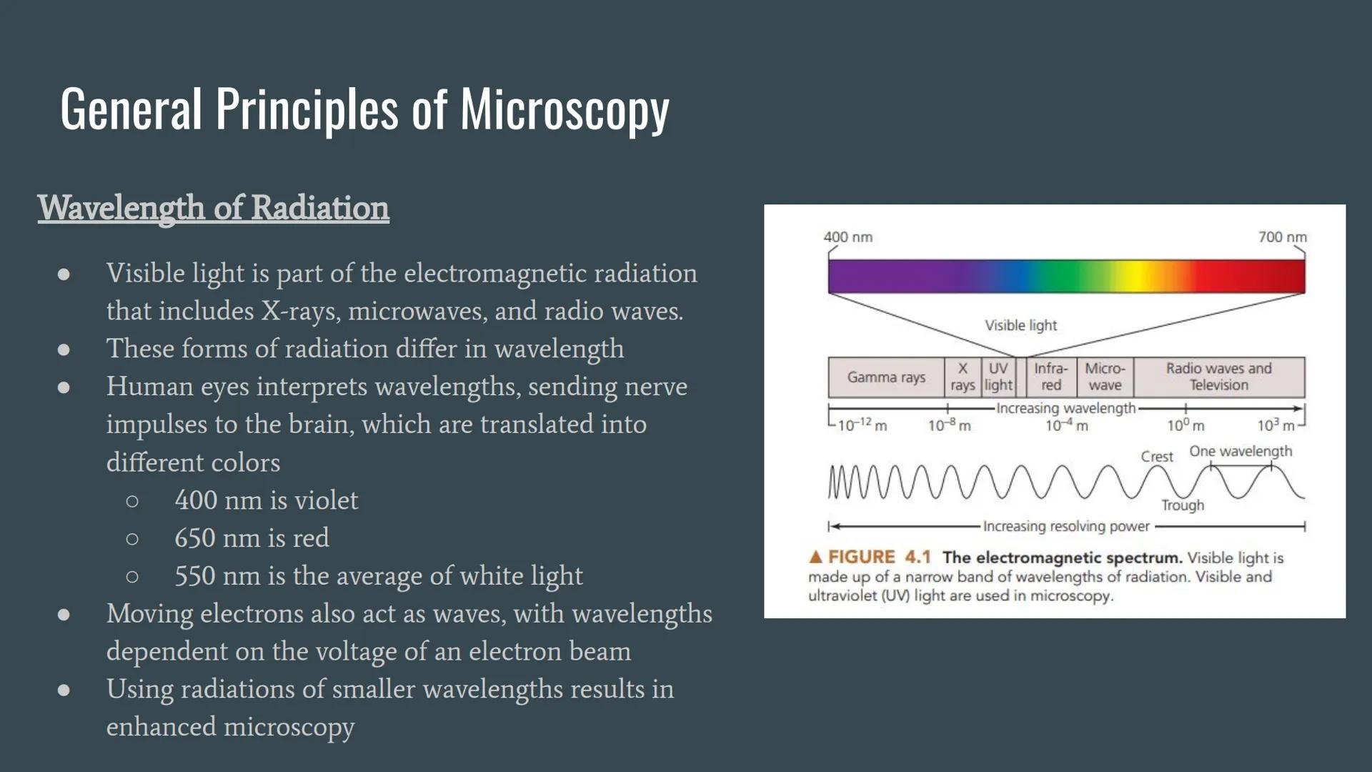 Chapter 4: Microscopy, Staining,
and Classification Units of Measurement
Since microorganisms are small, and a unit of measure is typically 