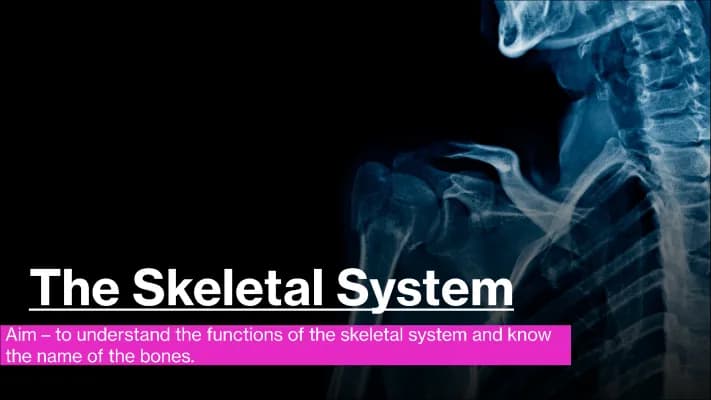 Know Skeletal System revision, Level 3 Sports Science thumbnail