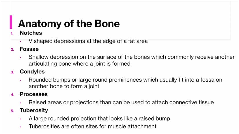 The Skeletal System
Aim - to understand the functions of the skeletal system and know
the name of the bones. Functions of the skeleton
Funct