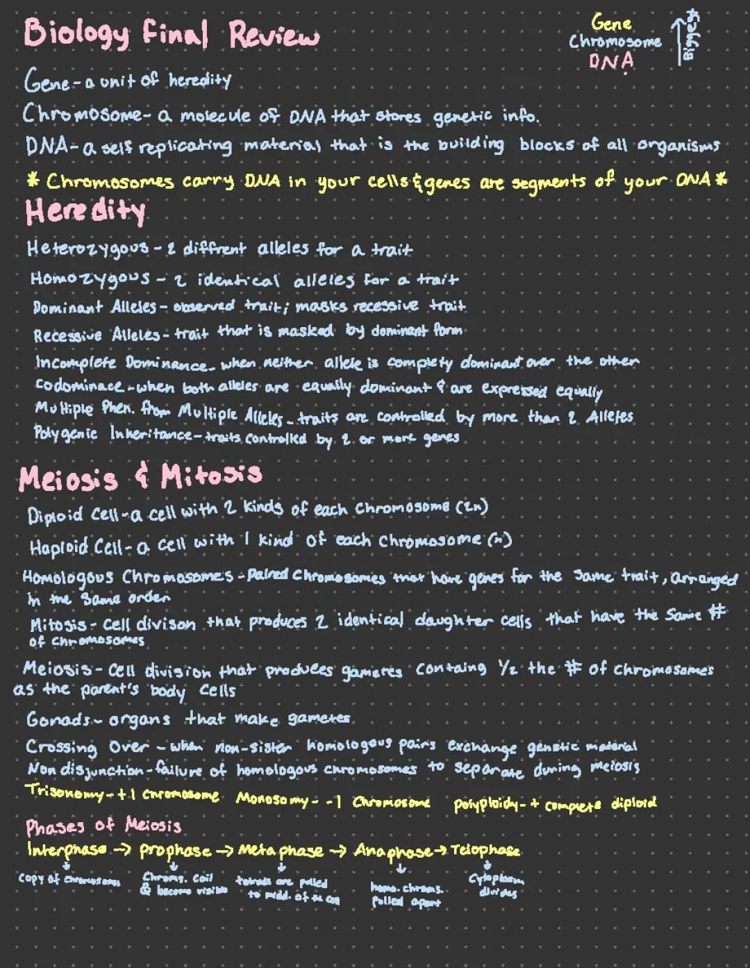 Biology Final Review