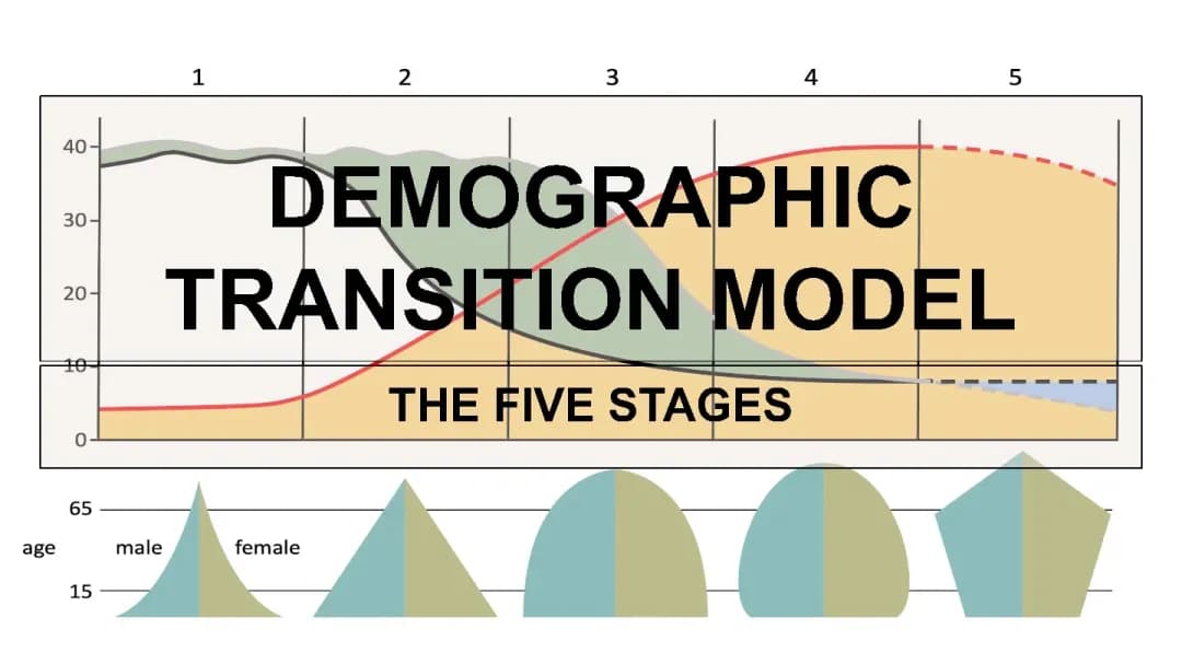 AP Human Geography: Five Stages of the DTM