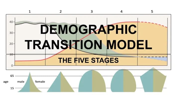Know AP Human Geography: Five Stages of the DTM thumbnail