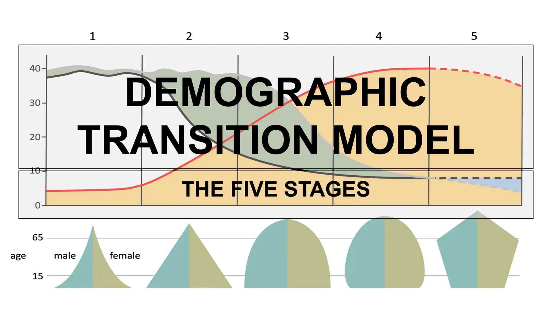 age
40-
30-
20-
0
65
15
male
1
2
3
female
4
DEMOGRAPHIC
5
TRANSITION MODEL
THE FIVE STAGES
a 40
30
20
10
0
Stage 1
High stationary
Death me
