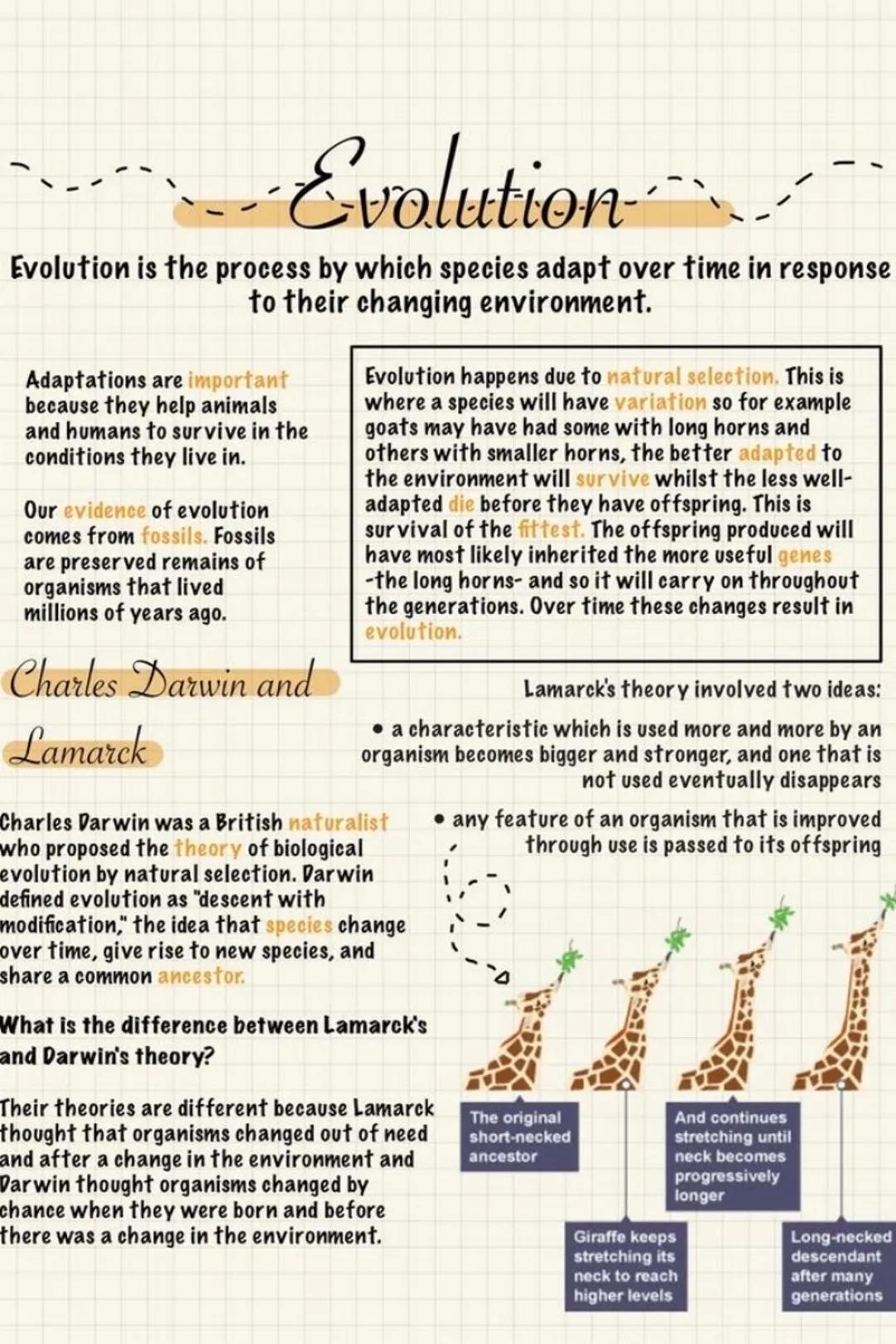 # Evolution

Evolution is the process by which species adapt over time in response
to their changing environment.

Adaptations are important