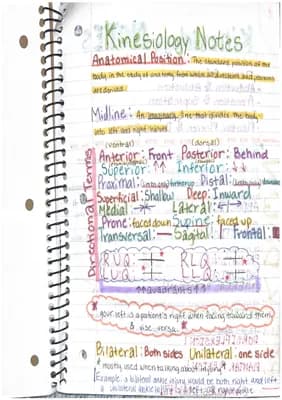 Know Kinesiology Notes: A Guide to Understanding the Human Body thumbnail