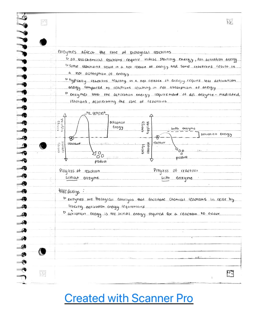 Unit 3
3.1- enzyme structure
• enzymes are macromolecules
D
• enzymes
6 most enzymes are protems.
D
tertiary shape must be maintained for fu