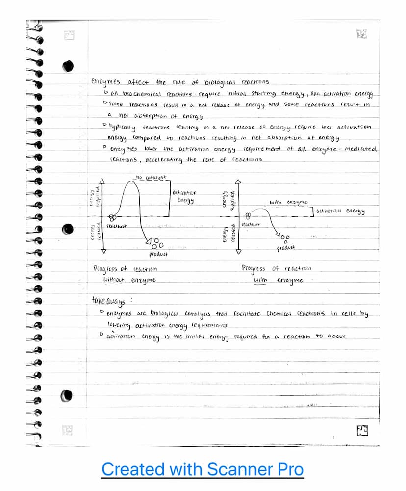Unit 3
3.1- enzyme structure
• enzymes are macromolecules
D
• enzymes
6 most enzymes are protems.
D
tertiary shape must be maintained for fu