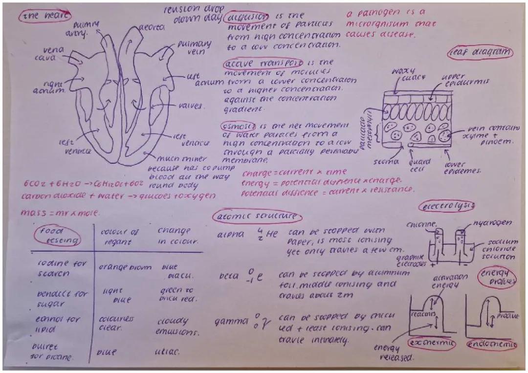 science revision