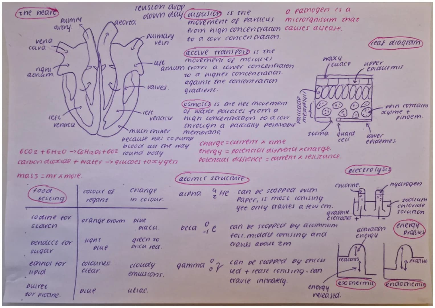 the heart
vena
cava
night
amrlim.
Pulmry
avtry.
left
venircle
food
mass=mr x more.
testing
lodine for
scarch
bendelt for
sugar
echnnol for
l