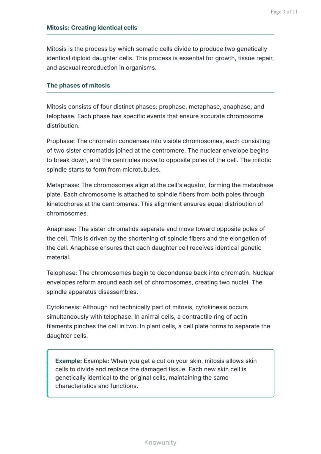 Cell Division: Understanding Mitosis and Meiosis Processes
Complete guide to cell division processes and their
biological significance
What 