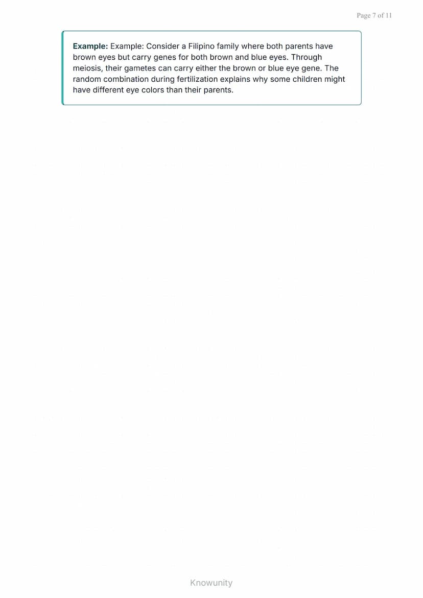 Cell Division: Understanding Mitosis and Meiosis Processes
Complete guide to cell division processes and their
biological significance
What 