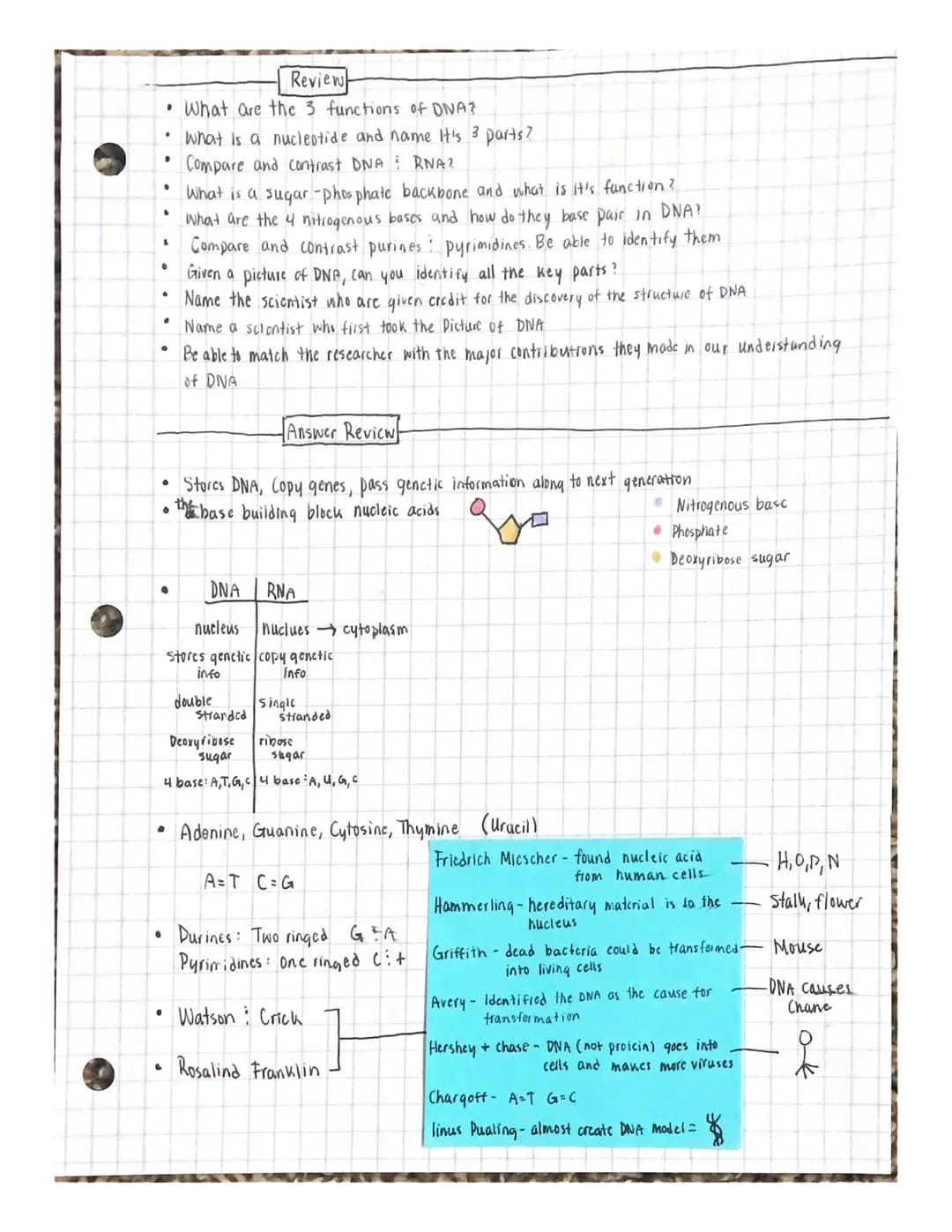 
<p>The cell cycle and division are essential processes in the life of a cell. The cell grows and prepares for division, ultimately dividing