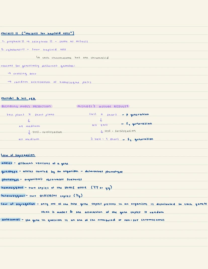 
<p>In this article, we will discuss genetic engineering in plants, the process of meiosis, and Mendel's laws of genetic inheritance. We wil