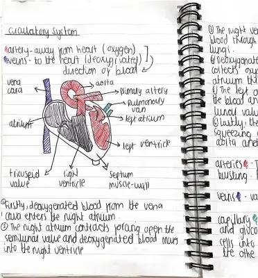 Know circulatory system  thumbnail