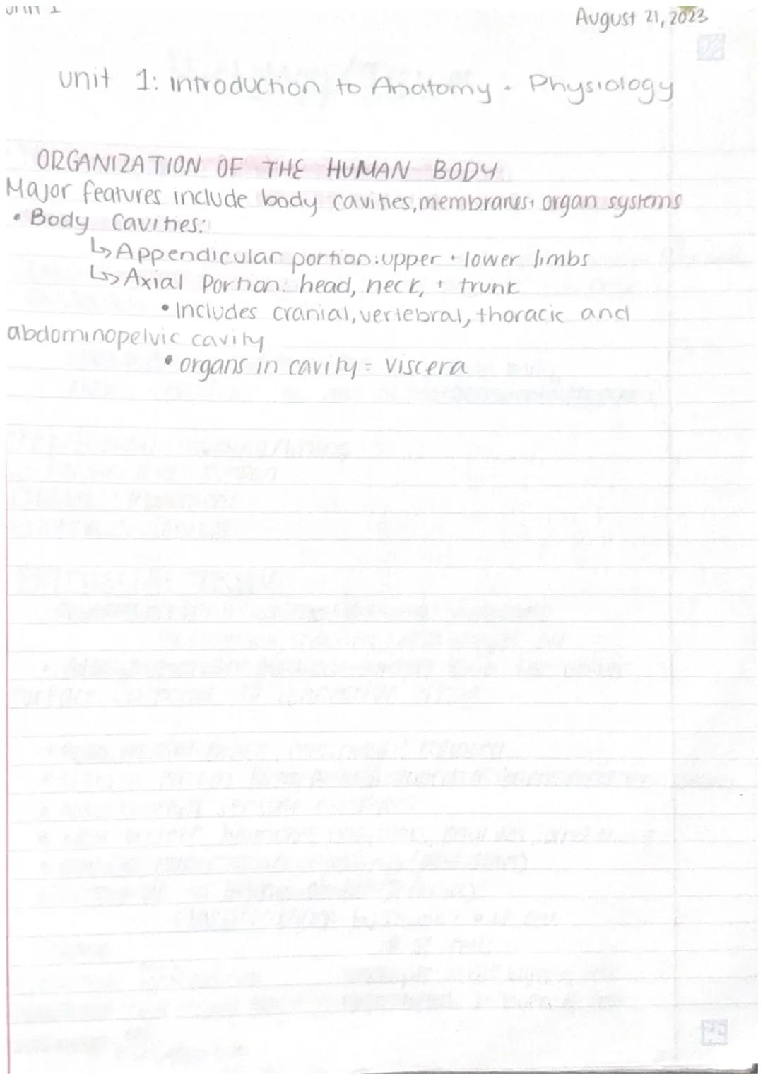 7
V
11
Introduction to Anatomy
Form fits Function": "Anatomy fits Physiology"
Aug. 14,2023
0.3
Homeostasis maintaining a stable internal env