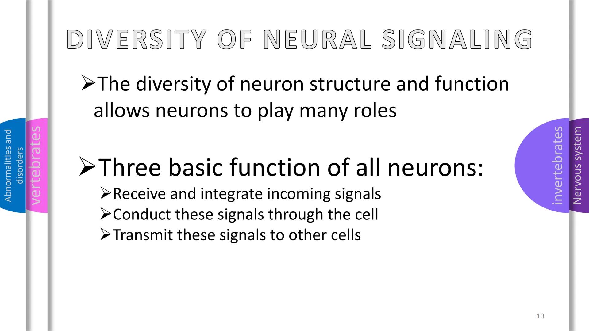 Abnormalities and
disorders
vertebrates
invertebrates
Nervous system
SYSTEM
NERVOUS Abnormalities and
disorders
vertebrates
invertebrates
NE
