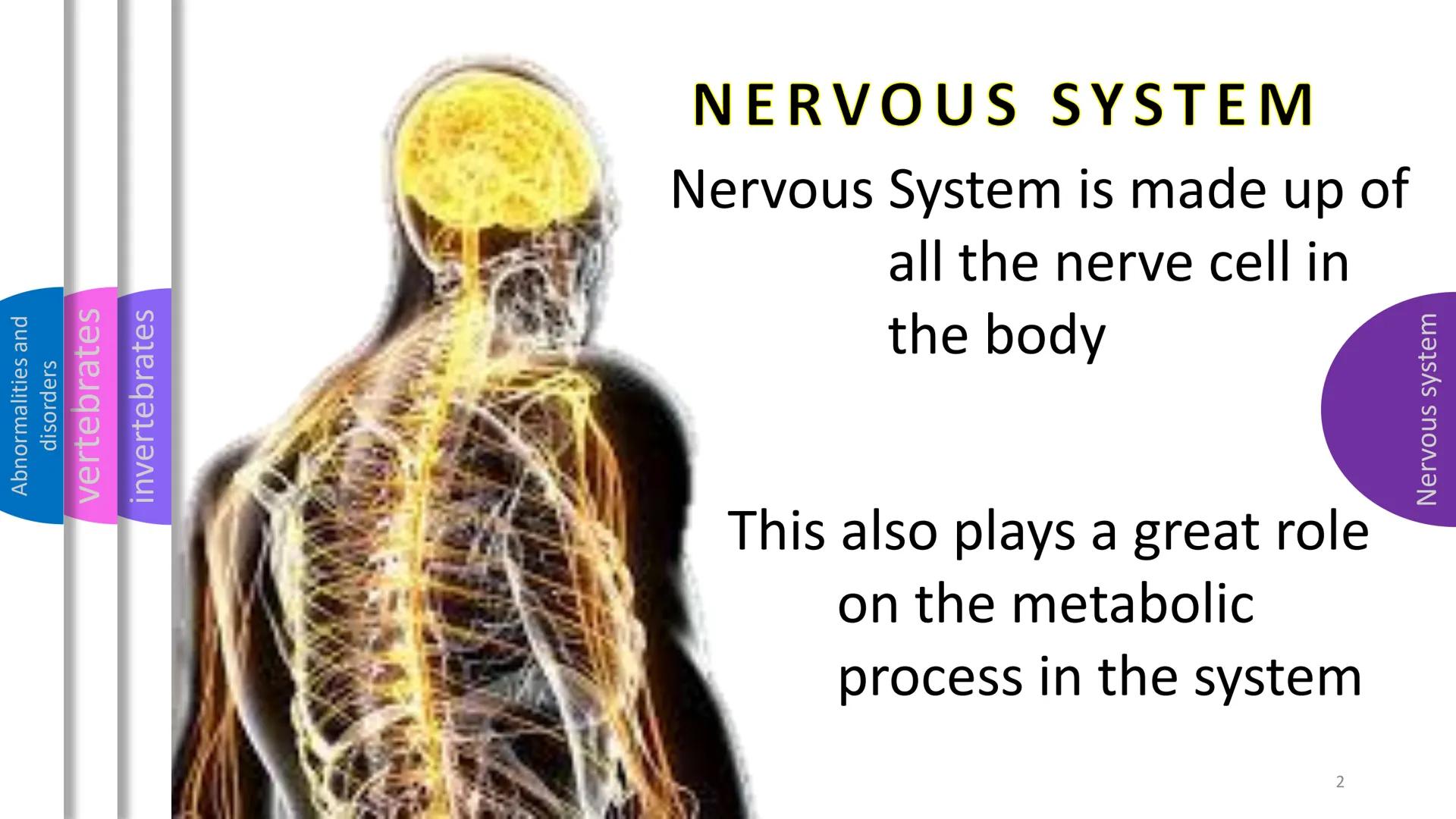 Abnormalities and
disorders
vertebrates
invertebrates
Nervous system
SYSTEM
NERVOUS Abnormalities and
disorders
vertebrates
invertebrates
NE