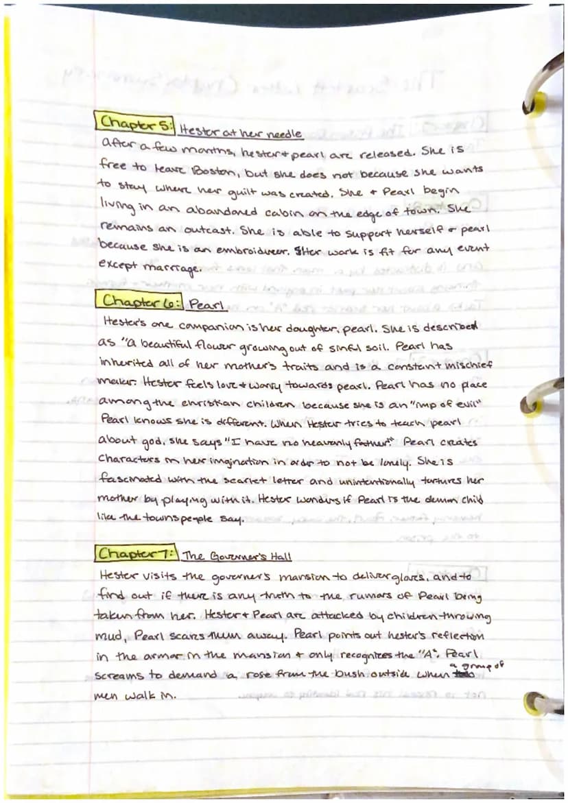 The Scartett Letter Chapter Summary
Chapter 1 The Prison Doar
Talks about where the prison is, what the door looks
Like, Located in Boston, 