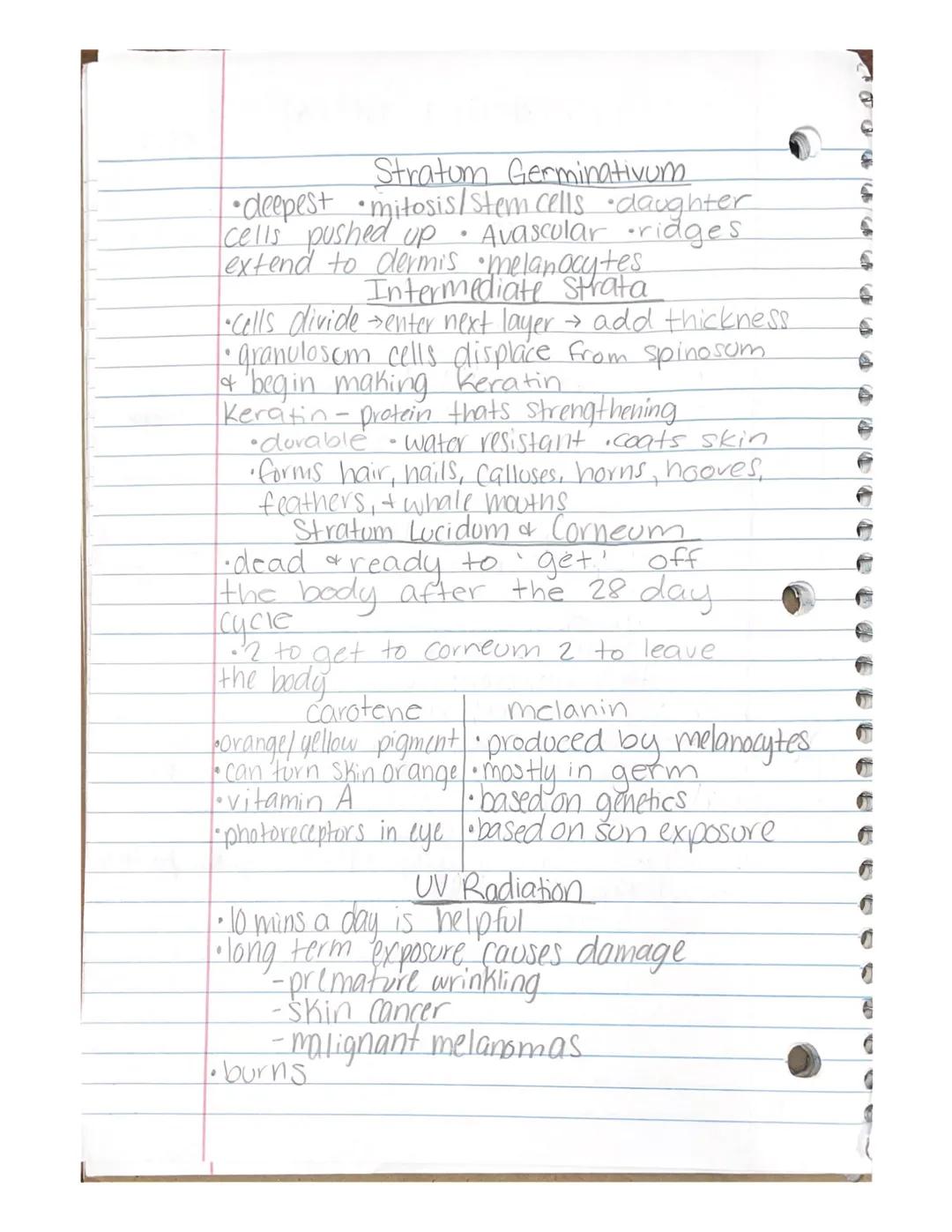 Integumentary System 10/17
Skin
Changes in color, flexibility, and sensitivity
helpful to physicians
Vitiligo -pigmentation disorder
• melan