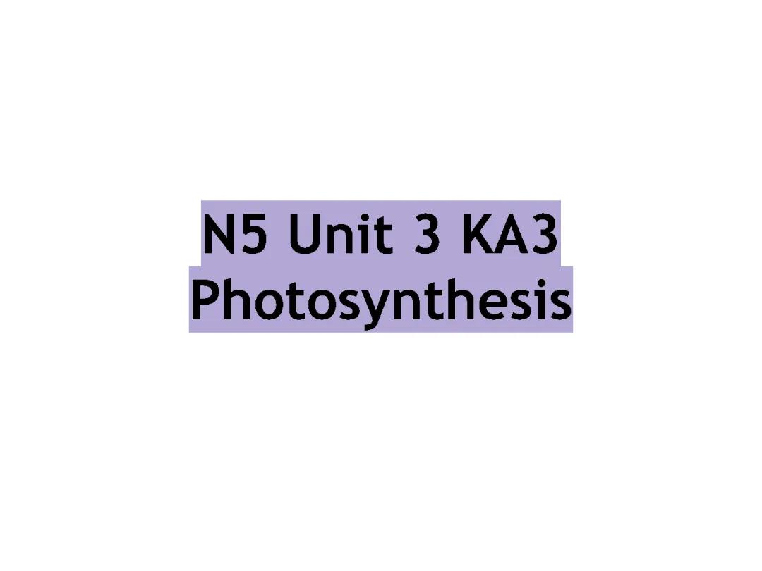 photosynthesis
