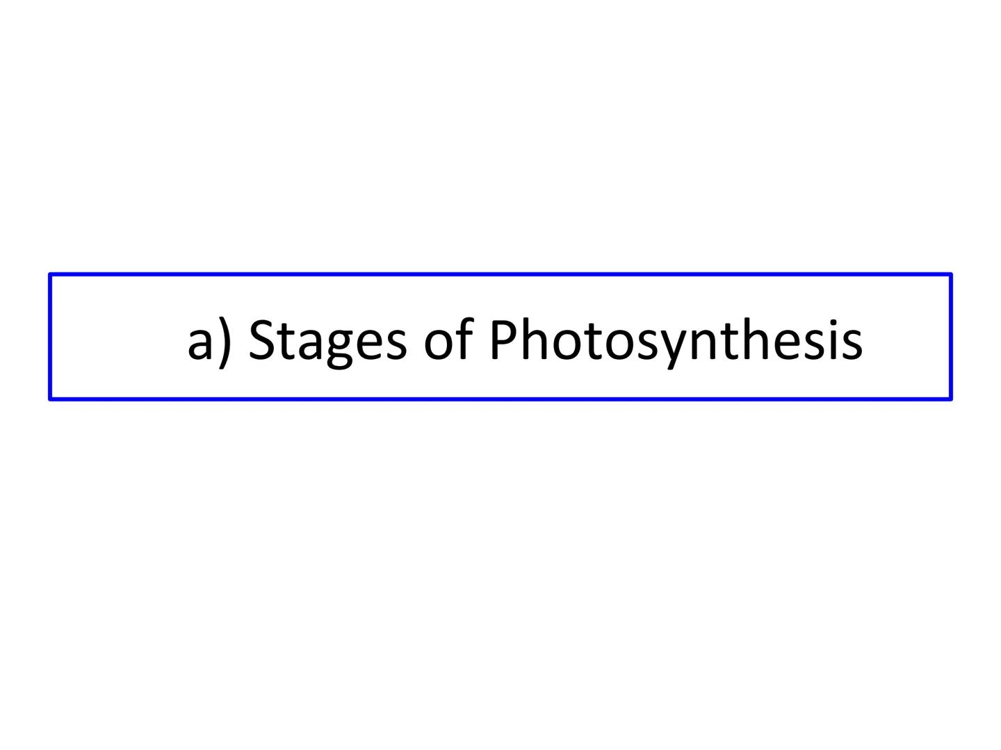 N5 Unit 3 KA3
Photosynthesis N5 biology course
1. Cell Biology
2. Multicellular Organisms
3. Life on Earth Unit 3 - Life on Earth
1. Ecosyst