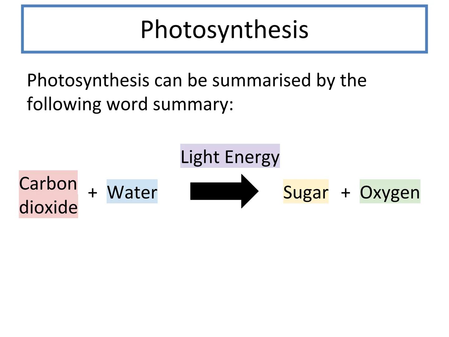 N5 Unit 3 KA3
Photosynthesis N5 biology course
1. Cell Biology
2. Multicellular Organisms
3. Life on Earth Unit 3 - Life on Earth
1. Ecosyst