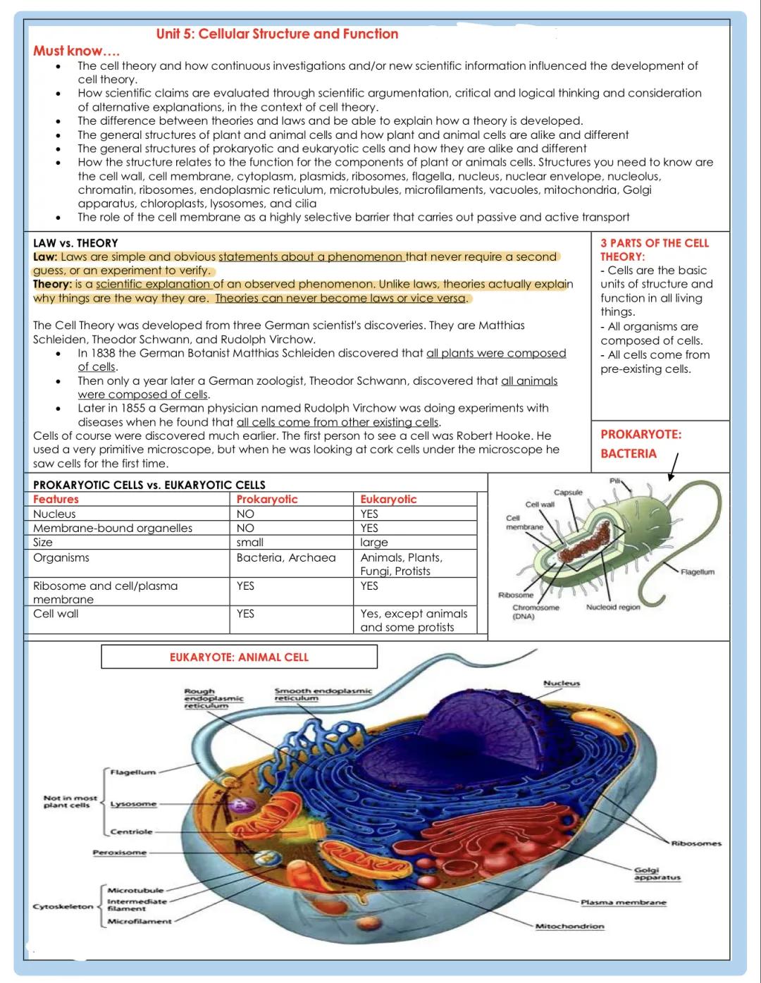 Cell Structure and Function 