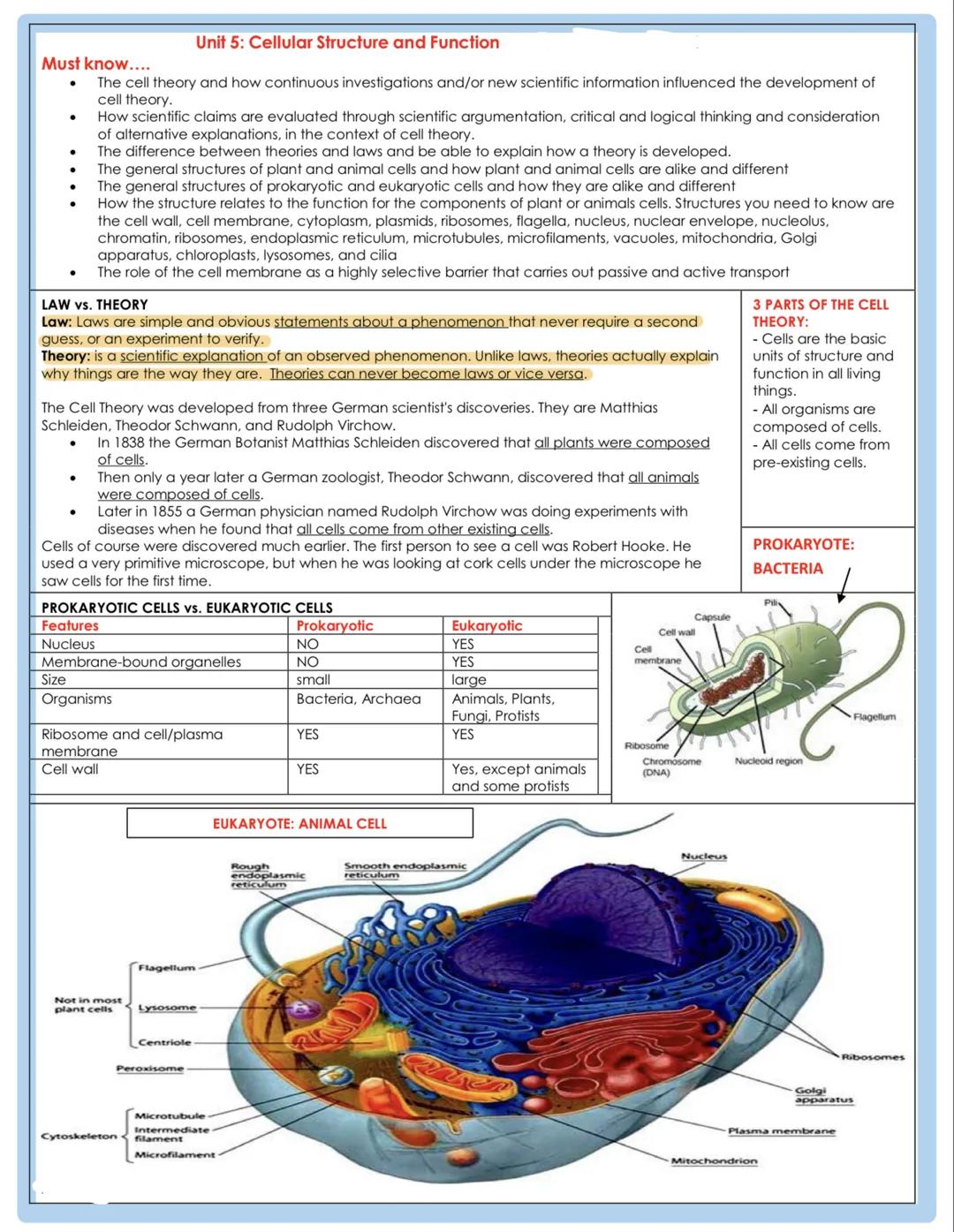 Must know....
The cell theory and how continuous investigations and/or new scientific information influenced the development of
cell theory.