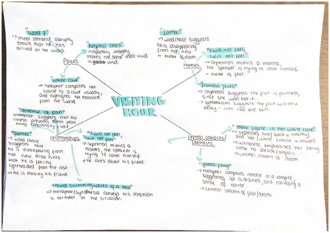 Visiting Hour by Norman MacCaig - Analysis and Summary
