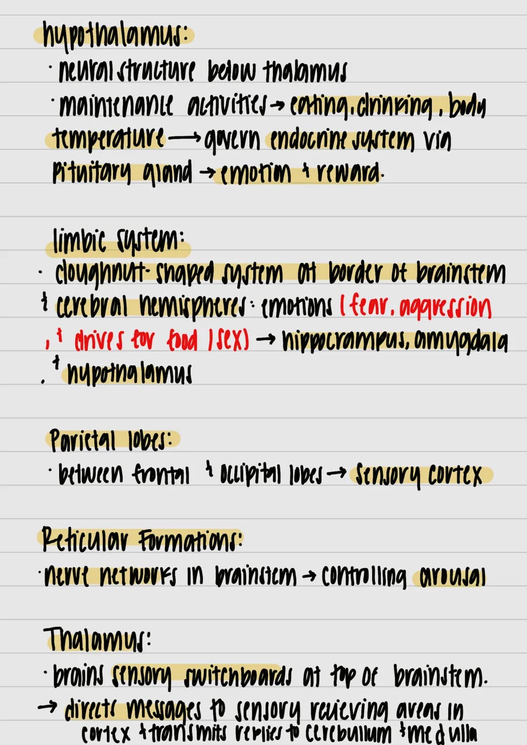 }
& studui
motor outputs
Communicate / intervene between sensory
hlоилани (PNO) W29 споллги полнидо
Interneurons:
Watsos молажи тилнига 4 пл
