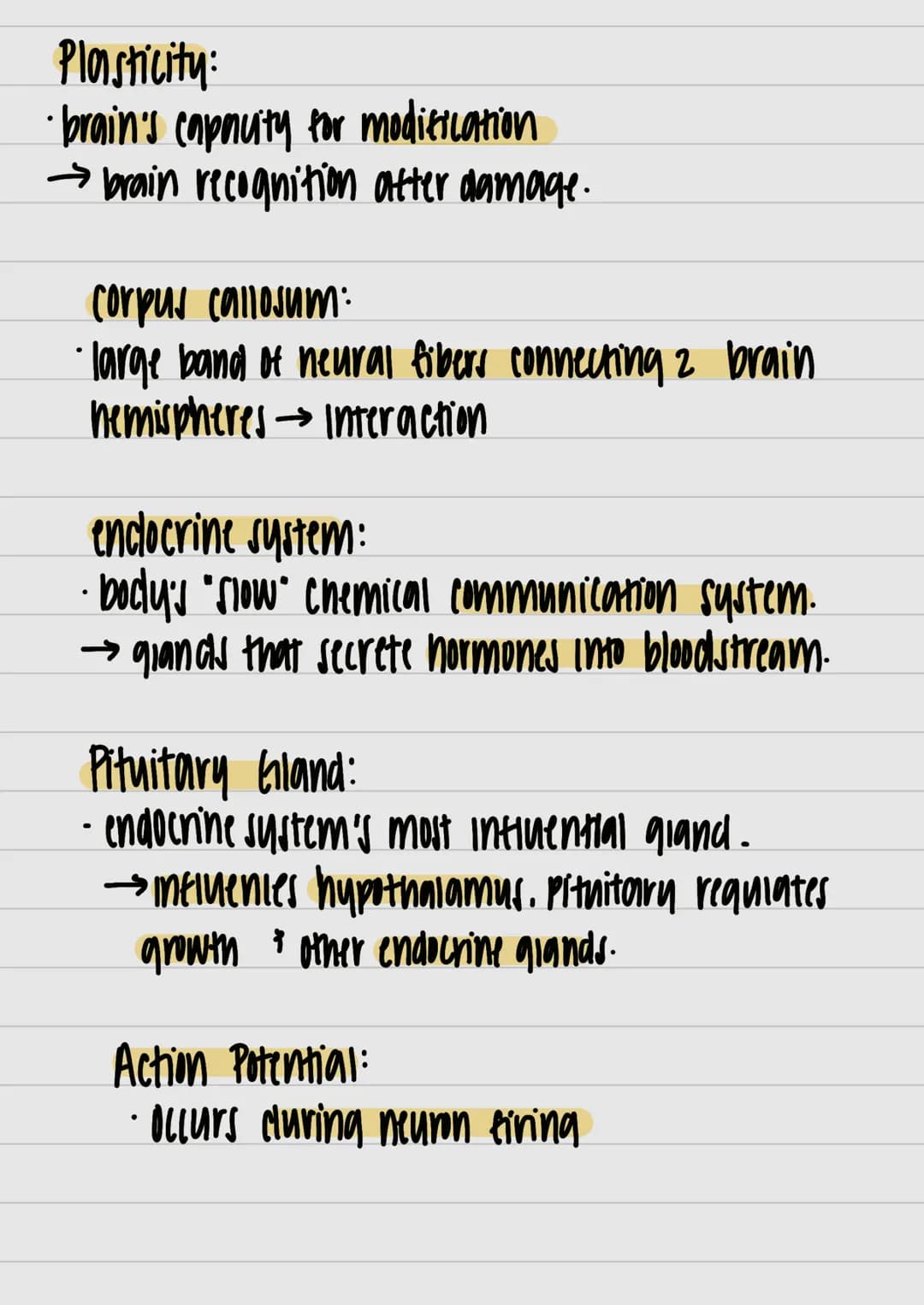 }
& studui
motor outputs
Communicate / intervene between sensory
hlоилани (PNO) W29 споллги полнидо
Interneurons:
Watsos молажи тилнига 4 пл