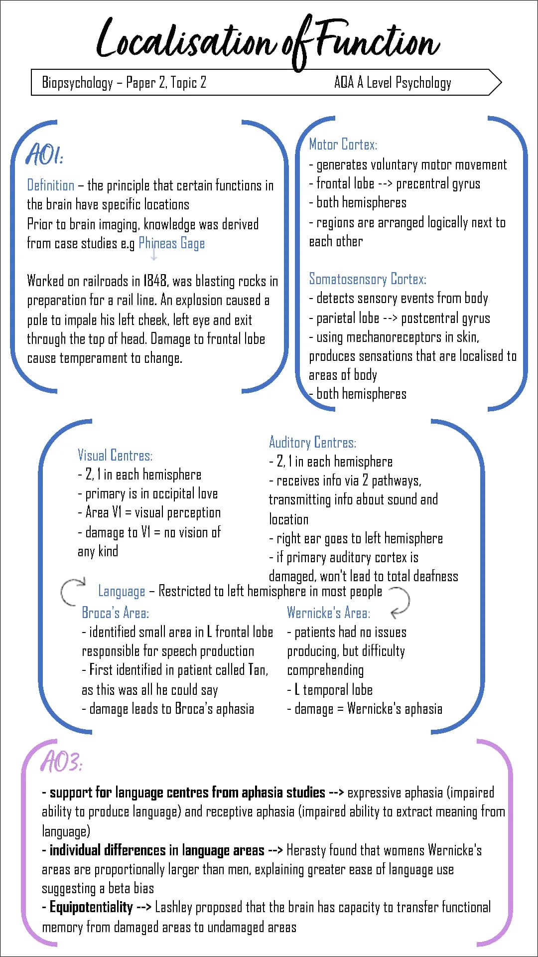 Fun Brain Stuff: A Level Psych and Split-Brain!