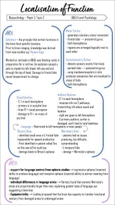 Know Localisation and Lateralisation  thumbnail