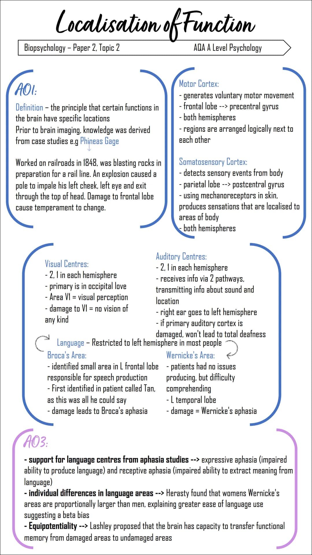 Localisation of Function
AQA A Level Psychology
Biopsychology - Paper 2, Topic 2
AOI:
Definition - the principle that certain functions in
t