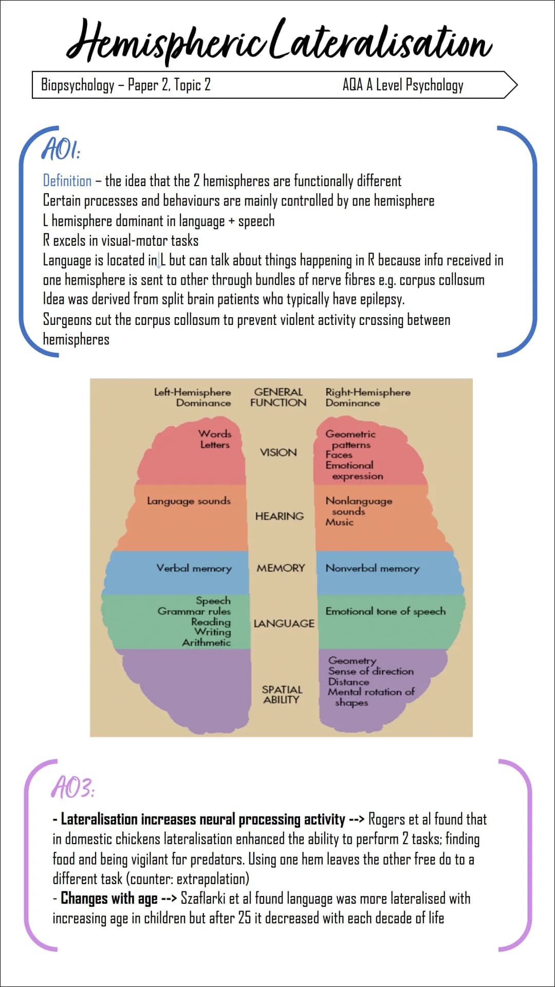 Localisation of Function
AQA A Level Psychology
Biopsychology - Paper 2, Topic 2
AOI:
Definition - the principle that certain functions in
t