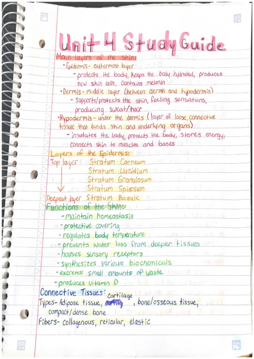•Unit 4 Study Guide
Main layers of the skin:
•Epidermis- outermost layer.
0
-protects the body, keeps the body hydrated, produces
new skin c