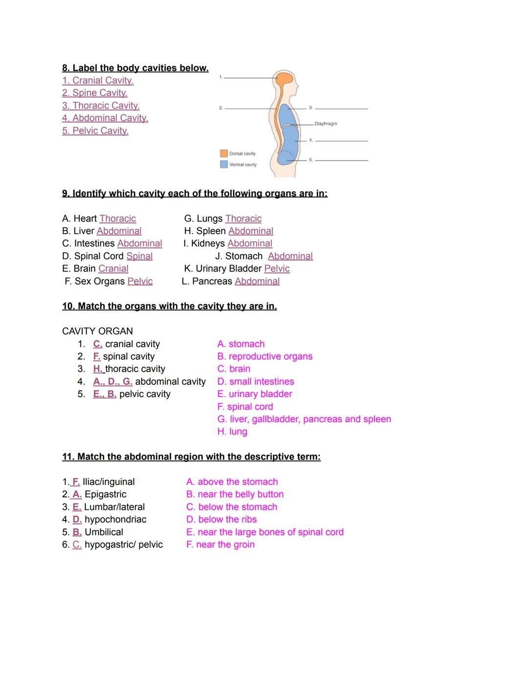 1.02 Review

1. Describe the following positions:
Prone- To lay on your stomach.

Supine- To lay on your back/spine.

Fowler's- Sitting up p