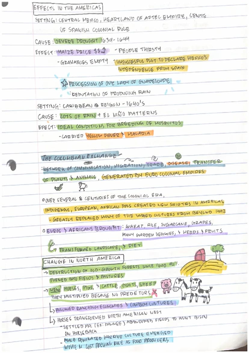 CLASS STRUCTURES FREEDOM & RIGHTS -DEVELOPMENTY
GENDER ROLES
SOCIAL
SOCIAL MOGILITY
DULITICAL GOVERNMENT GLOBAL STRUCTURES
CONFLICT TWAR
·RE