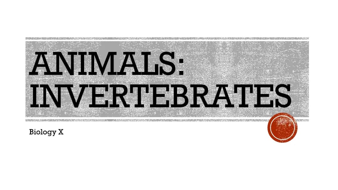 Invertebrate Animals 2023 PDF