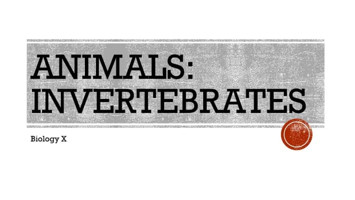 Know Invertebrate Animals 2023 PDF thumbnail