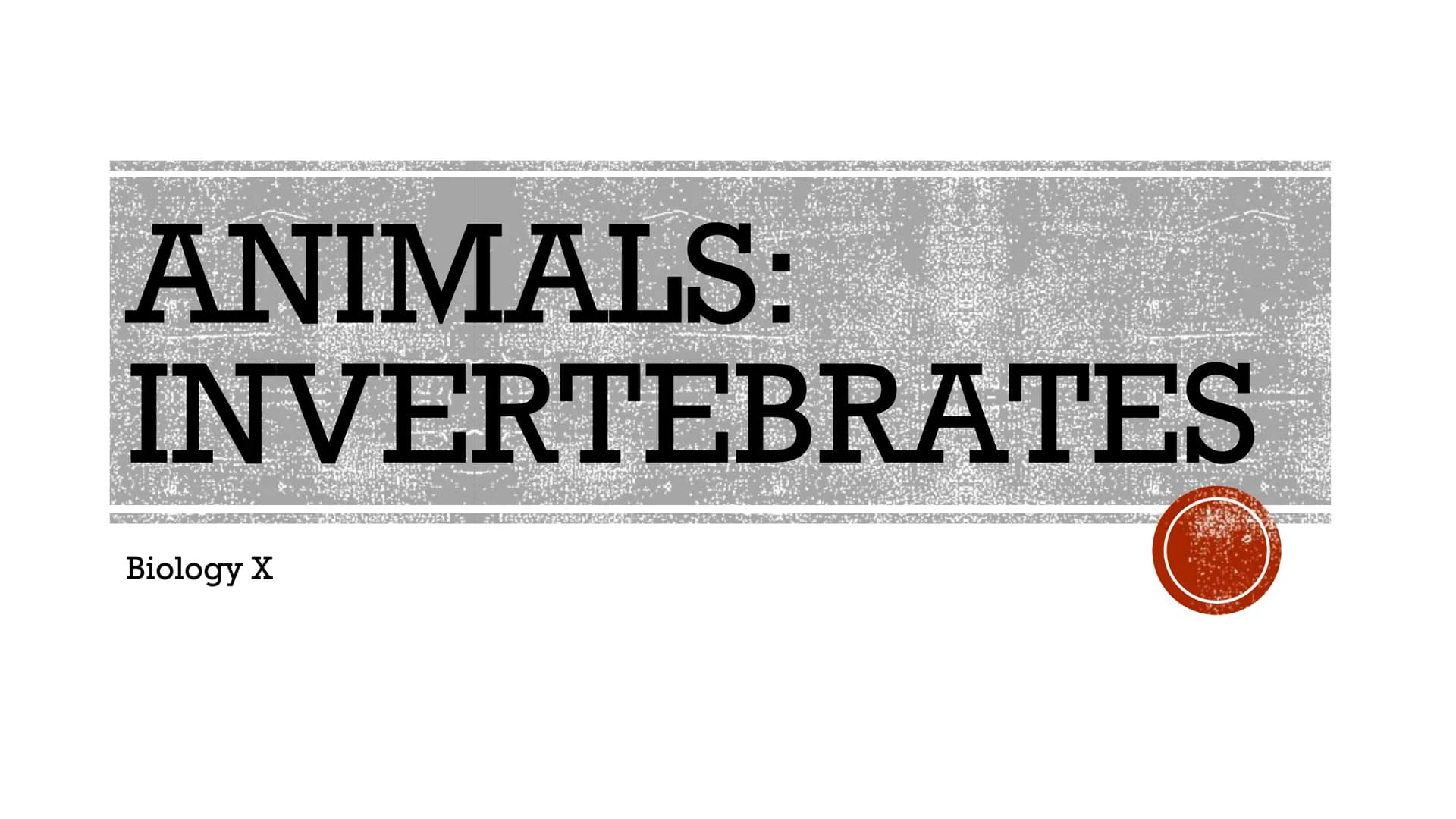 ANIMALS:
INVERTEBRATES
Biology X GENERAL
ISTICS logists hypothesize that the first
animals evolved between 620 and
550 million years ago
Anc
